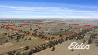 Savernake Road Mulwala NSW 2647