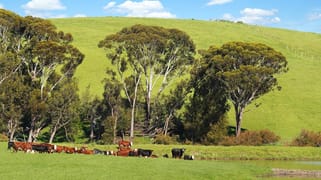 0 Corner Glenelg Highway - Den Hills Road Coleraine VIC 3315