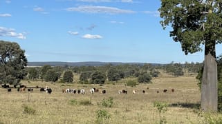 Nogo River Road Eidsvold QLD 4627