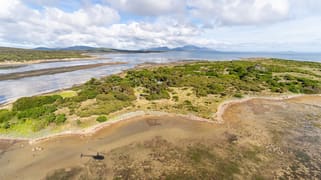 . Puncheon Island Lady Barron TAS 7255