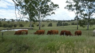 Gayndah QLD 4625