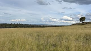 804 Old Yullundry Road Yullundry NSW 2867 804 Old Yullundry Road Yullundry NSW 2867