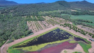 1603 Geeberga Buthurra Road Mount Ossa QLD 4741
