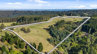 1308 Grand Ridge Road Blackwarry VIC 3844