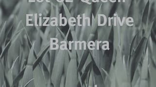 62/ Queen Elizabeth Drive Barmera SA 5345