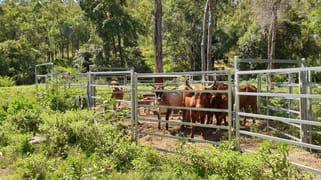 15 Cedarvale Road Boyne Valley QLD 4680