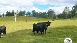 425 Old Dyraaba Road Casino NSW 2470