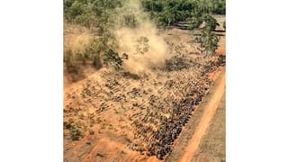 . Dorisvale Station Claravale NT 0822