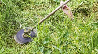 Maroochydore QLD 4558