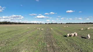 "Goonwarra"/1 Warragoon Road Deniliquin NSW 2710 "Goonwarra"/1 Warragoon Road Deniliquin NSW 2710