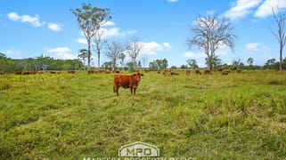150 & 154, 764 Hodzic Road Biboohra QLD 4880
