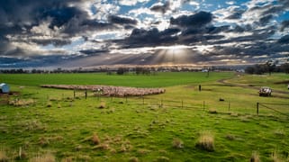 3077 The Escort Way Boree NSW 2800