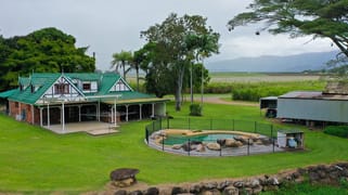 445 Gray Road Green Hill QLD 4865
