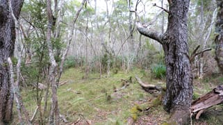 Lot 113 Big Jack Mountain Road Cathcart NSW 2632