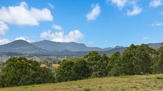 77 Tyalgum Ridge Road Tyalgum NSW 2484