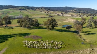 635 Grove Creek Road Triangle Flat NSW 2795