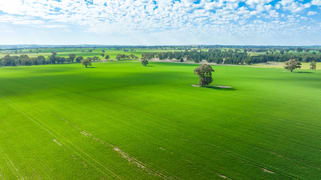 'Part Glenmoira'/524 Munyaplah Settlement Rd Alma Park NSW 2659 'Part Glenmoira'/524 Munyaplah Settlement Rd Alma Park NSW 2659