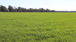 734 Adavale Lane Goonumbla NSW 2870