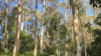 13 Raktari Place Kalaru NSW 2550