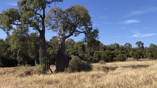 Bunya Mountains QLD 4405