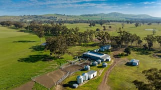 120 Mt Camel-Graytown Road Mount Camel VIC 3523