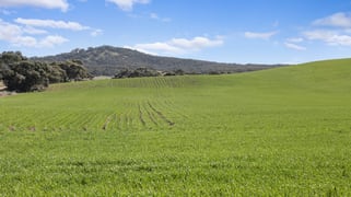 'Gum View Hills' Gorge Road Pekina SA 5431