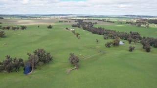 870 South Dale Road Jelcobine WA 6306