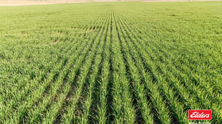 Corner Donovans Road and Baringhup Road Carisbrook VIC 3464