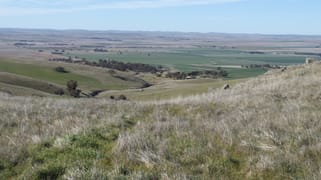 Coothadie Road Mannanarie SA 5422