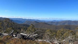 "Waterfall" Kydra Fire Trail Kybeyan NSW 2631