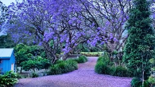 457 Summervilles Road Bellingen NSW 2454 457 Summervilles Road Bellingen NSW 2454