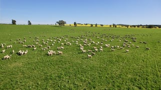 Upside Farm, 104 Flowerdale Road Wagga Wagga NSW 2650