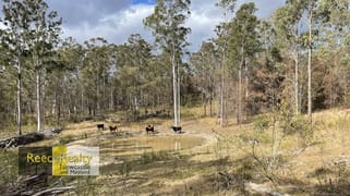 Lot 597 Willi Willi Road Temagog NSW 2440