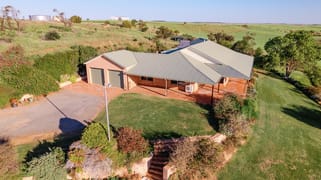 136 Whitehurst-Tetlow Road East Nabawa WA 6532