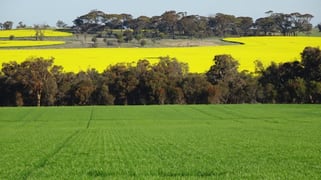 340 Walkers Road Piesseville WA 6315