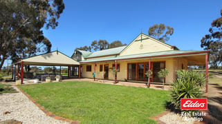 58 Hilltop Drive Eppalock VIC 3551