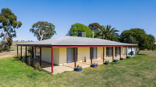 2231 Oxley Highway Bective NSW 2340