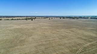 90R Mogriguy Road Brocklehurst NSW 2830