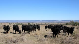 356 Nooroo Road Bingara NSW 2404 356 Nooroo Road Bingara NSW 2404