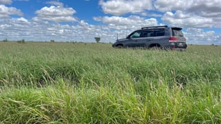 13724 Mitchell-St George Road St George QLD 4487 13724 Mitchell-St George Road St George QLD 4487