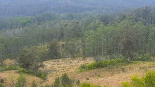 Doyles River Road Debenham NSW 2446