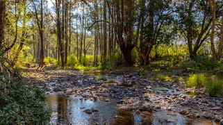 359 Kippax Road Kippaxs NSW 2429
