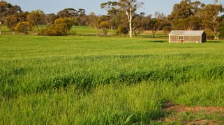 Lot 1 Narrogin Valley Road Narrogin Valley WA 6312