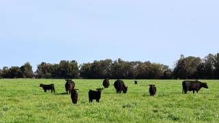 536 O'Brien Road Lockington VIC 3563 536 O'Brien Road Lockington VIC 3563
