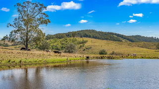 449 Glen William Road Glen William NSW 2321