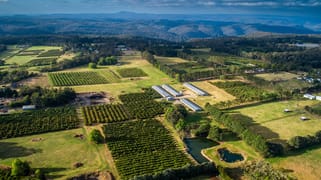 'Wyuna Farms' 982-988 George Downes Drive Kulnura NSW 2250