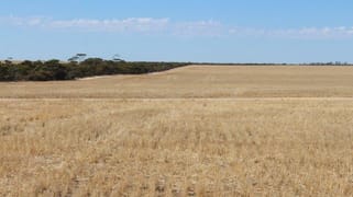 1568 Pickernell Road Varley WA 6355