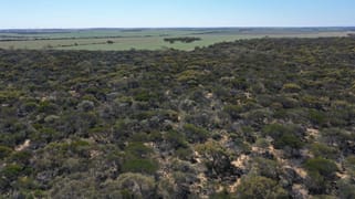 Lot 25253 Ellery Road South Burracoppin WA 6421