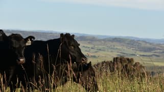 Lot 2/831 Ophir Road Bathurst NSW 2795