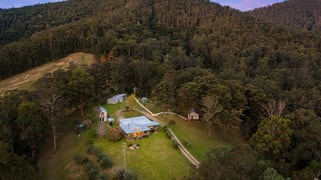 223 Toms Creek Road Ellenborough NSW 2446